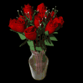 dozen_red_roses_expand_vase_md_blk_31346.gif